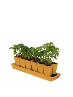 Gardener's Best® XL Seed Starting Kit 16 Gardener's Best® XL Seed Starting Kit -Garden Supplies Sales 8613066 1029