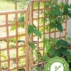 Bamboo Zig-Zag Trellis 24" X 36" -Garden Supplies Sales 8613151 15