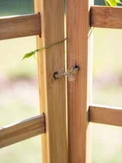 Bamboo Zig-Zag Trellis 24" X 36" -Garden Supplies Sales 8613151 6483