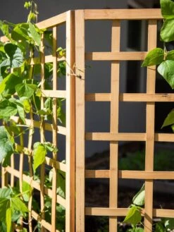 Bamboo Zig-Zag Trellis 24" X 36" -Garden Supplies Sales 8613151 6491