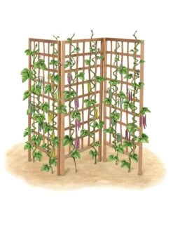 Bamboo Zig-Zag Trellis 24" X 36" -Garden Supplies Sales 8613151 art flat