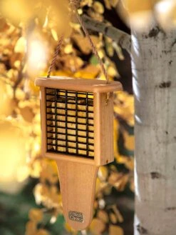 Spruce Creek Tail Prop Suet Feeder