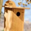Spruce Creek Bluebird House 2 Spruce Creek Bluebird House -Garden Supplies Sales 8613212 03v spruce creek bluebird house