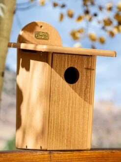 Spruce Creek Bluebird House