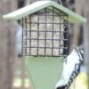 Birds Choice™ Tail Prop Feeder -Garden Supplies Sales 8613220 08v