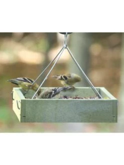 Birds Choice™ Tray Bird Feeder, Small -Garden Supplies Sales 8613221 03v