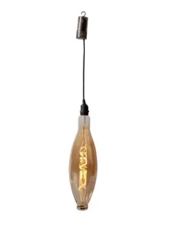 Retro Essence™ Vintage LED Light Bulbs -Garden Supplies Sales 8613229 5979