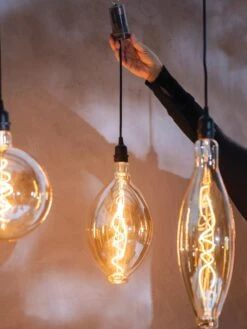 Retro Essence™ Vintage LED Light Bulbs -Garden Supplies Sales 8613229 7066