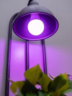 Kira Grow Light Hanging Planter 10 Kira Grow Light Hanging Planter -Garden Supplies Sales 8613232 5663