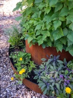 Birdies™ Corten Steel Tiered Round Raised Bed Kit, Tall -Garden Supplies Sales 8613245 0195