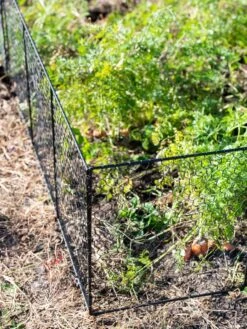 Chicken Wire Critter Fence, 16" High -Garden Supplies Sales 8613249 0309