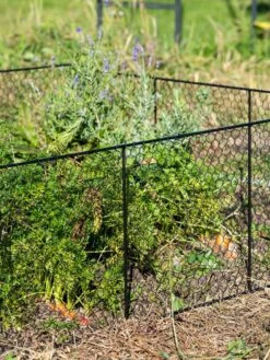 Chicken Wire Critter Fence, 16" High -Garden Supplies Sales 8613249 0352