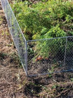 Chicken Wire Critter Fence, 16" High -Garden Supplies Sales 8613249 0358