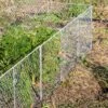 Chicken Wire Critter Fence, 16" High -Garden Supplies Sales 8613249 0368 chicken wire critter fence 16 inches high