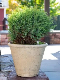Self-Watering LavaStone® Anson Pot 12 Self-Watering LavaStone® Anson Pot -Garden Supplies Sales 8613255 0144