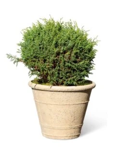 Self-Watering LavaStone® Anson Pot 14 Self-Watering LavaStone® Anson Pot -Garden Supplies Sales 8613255 0150