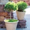 Self-Watering LavaStone® Anson Pot -Garden Supplies Sales 8613256 0124 self watering lavastone anson pot