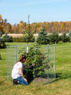 Tall Chicken Wire Critter Fence With Gate -Garden Supplies Sales 8613260 0044