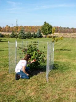 Tall Chicken Wire Critter Fence Extension Panel, Set Of 2 -Garden Supplies Sales 8613260 0090