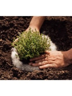 Hortiwool ®, 5 Pad Pack -Garden Supplies Sales 8613263 06v 1