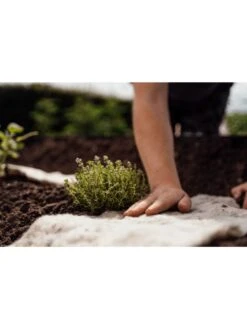 Hortiwool ®, Starter Garden Pad 9 Hortiwool ®, Starter Garden Pad -Garden Supplies Sales 8613263 09v