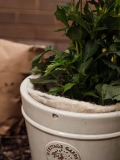 Hortiwool ®, 5 Pad Pack -Garden Supplies Sales 8613263 17v