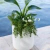 Arden Round Planter 1 Arden Round Planter -Garden Supplies Sales 8613267 0112 arden round planter