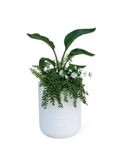 Arden Round Planter -Garden Supplies Sales 8613267 0115