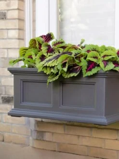 Fairfield Self-Watering Window Box, 2’ -Garden Supplies Sales 8613268 08V tif