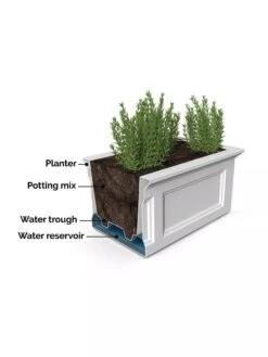 Fairfield Self-Watering Elevated Garden Bed 17 Fairfield Self-Watering Elevated Garden Bed -Garden Supplies Sales 8613283 07V 3 4