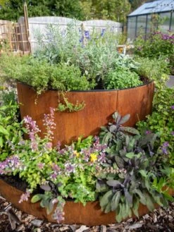 Birdies™ Corten Steel Tiered Round Raised Bed Kit, Tall -Garden Supplies Sales 8613287 0014