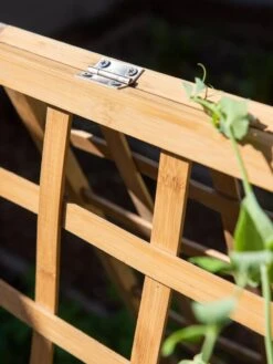 Bambo A Frame Plant Support, 30" X 42.5" 15 Bambo A Frame Plant Support, 30" X 42.5" -Garden Supplies Sales 8613310 6525