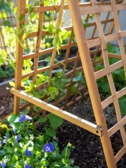 Bambo A Frame Plant Support, 30" X 42.5" 13 Bambo A Frame Plant Support, 30" X 42.5" -Garden Supplies Sales 8613310 6556