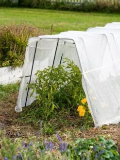 Zenith Garden Hoops, Set Of 4 13 Zenith Garden Hoops, Set Of 4 -Garden Supplies Sales 8613313 0133 1