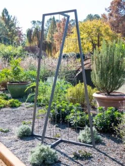 Pilar Free Standing Trellis -Garden Supplies Sales 8613316 5164