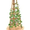 Cedar Obelisk, 8' 1 Cedar Obelisk, 8' -Garden Supplies Sales 8613322 art flat wooden obelisk