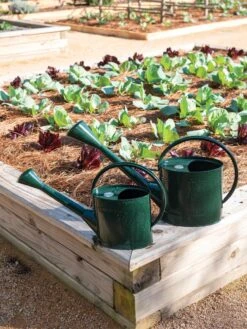 Long Reach Watering Can, Large 12 Long Reach Watering Can, Large -Garden Supplies Sales 8613346 0148 1