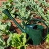Long Reach Watering Can, Large -Garden Supplies Sales 8613346 0149