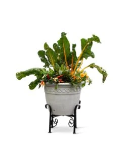 Covington Adjustable Plant Stands -Garden Supplies Sales 8613347 0119