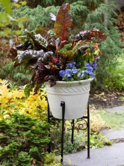Covington Adjustable Plant Stands -Garden Supplies Sales 8613348 0114