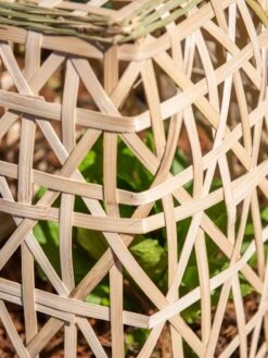 Bamboo Cloche, Set Of 2 19 Bamboo Cloche, Set Of 2 -Garden Supplies Sales 8613351 0153