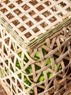 Bamboo Cloche, Set Of 2 18 Bamboo Cloche, Set Of 2 -Garden Supplies Sales 8613351 0154