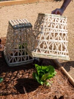 Bamboo Cloche, Set Of 2 16 Bamboo Cloche, Set Of 2 -Garden Supplies Sales 8613351 0157