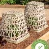 Bamboo Cloche, Set Of 2 -Garden Supplies Sales 8613351 12