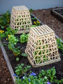 Bamboo Cloche, Set Of 2 17 Bamboo Cloche, Set Of 2 -Garden Supplies Sales 8613351 6766