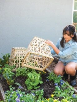 Bamboo Cloche, Set Of 2 15 Bamboo Cloche, Set Of 2 -Garden Supplies Sales 8613351 6862