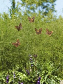 Flutterer Garden Stake 15 Flutterer Garden Stake -Garden Supplies Sales 8613372 01V tif