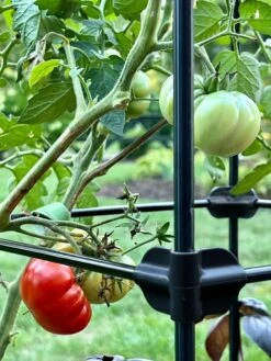 Oasis Self-Watering Tomato Planter With Trellis -Garden Supplies Sales 8613440 01TEST