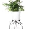 Aubrey Adjustable Plant Stand -Garden Supplies Sales 8613454 5716 aubrey adjustable plant stand