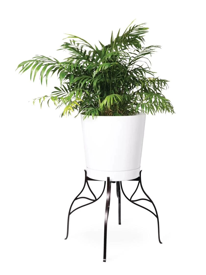 Aubrey Adjustable Plant Stand 3 Aubrey Adjustable Plant Stand